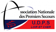 UDPS 41